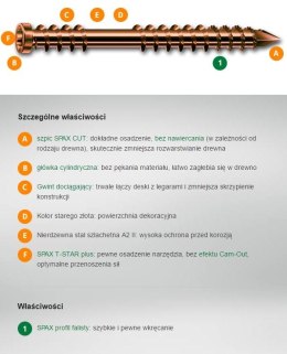 WKRĘT TARASOWY A2 (100) TX 5.0*60MM SPAX-D STARE ZŁOTO